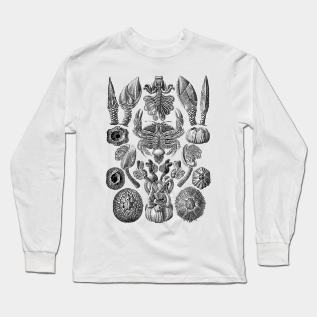 Ernst  Haeckel Cirripedia Crab Black & White Long Sleeve T-Shirt by Scientistudio